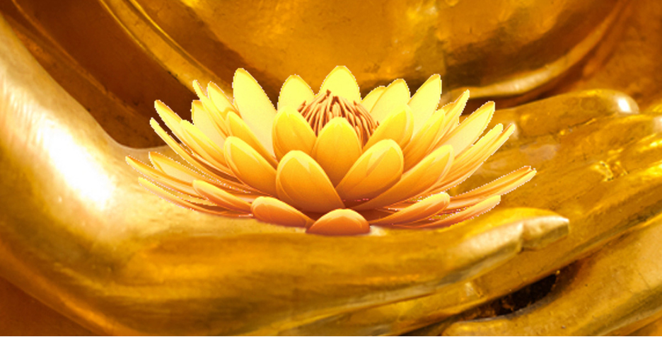 Hands holding lotus flower